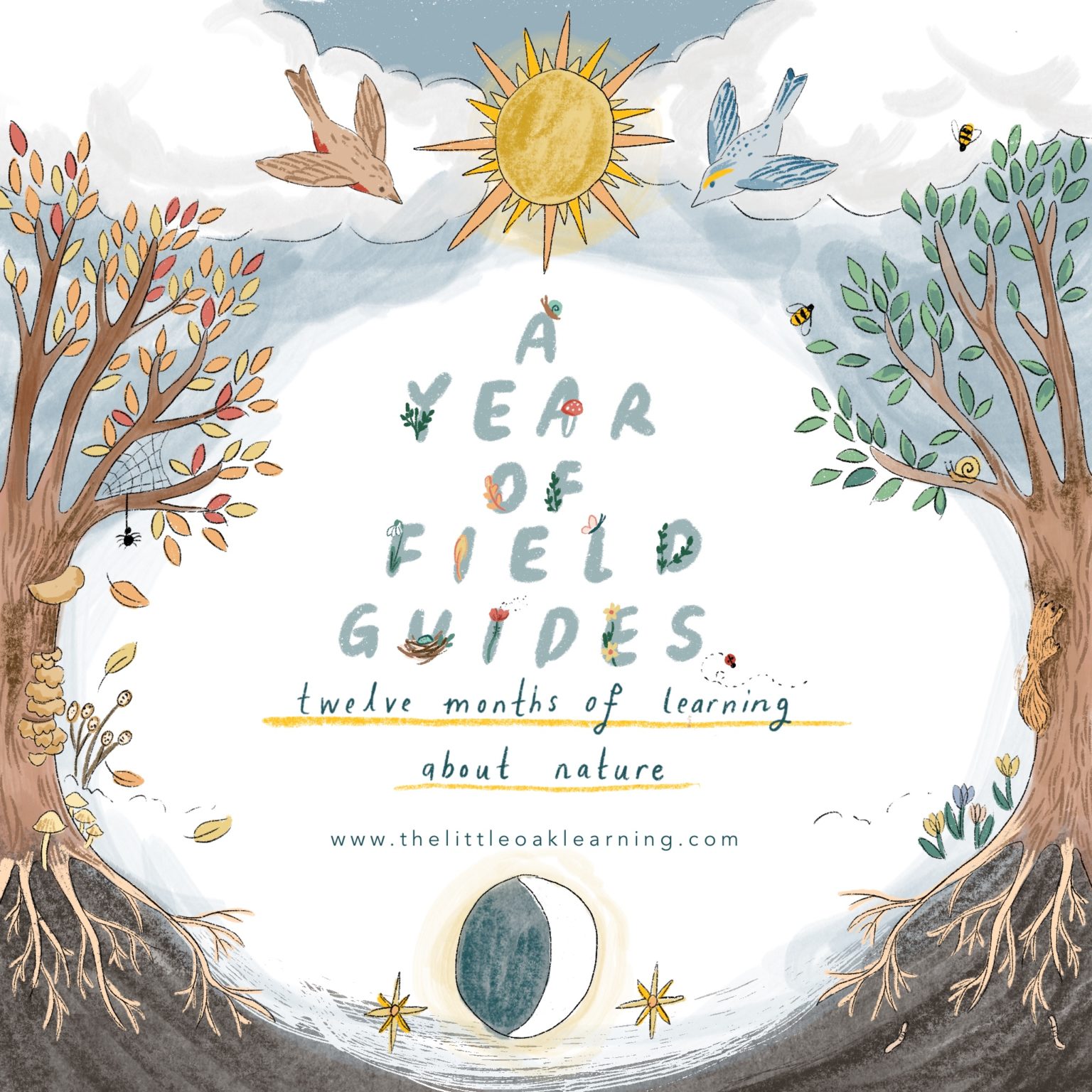 A Year Of Field Guides Showit Blog